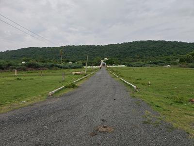 Residential Plot