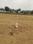Kinathukadavu Plot View 2