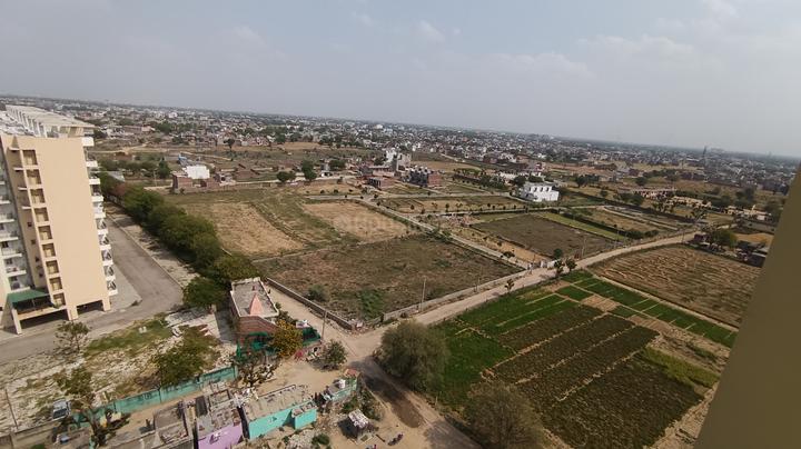 Bony Dreams Main Image 1