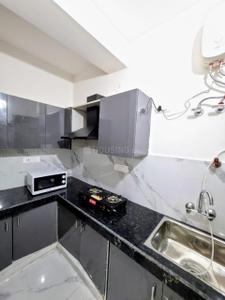 Kitchen Image of 750 Sq.ft 1 BHK Apartment / Flat for rent in Ramkrishna Apartments, Mansarovar Jaipur for Rs. 10000