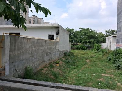 Sector 151 Plot View 2
