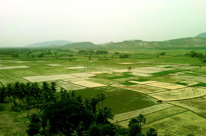 Dholera Global City Main Image 1