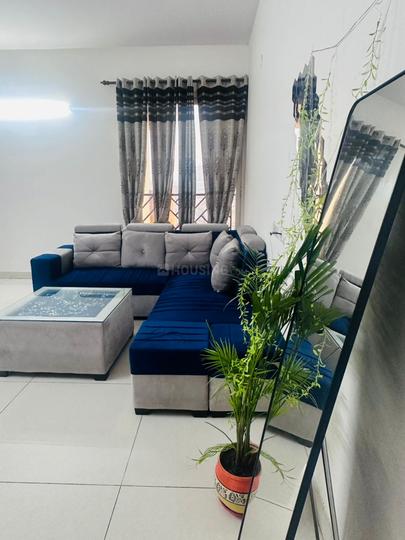 Hall Image of Pg for you in Indirapuram, Ghaziabad