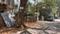 Shastri Nagar Plot View 2
