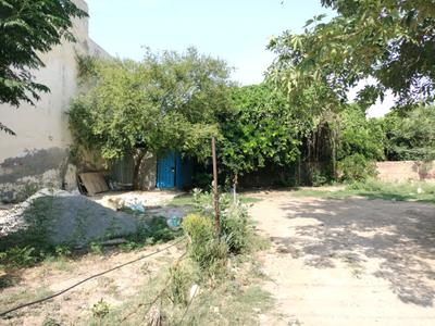 Sector 9 Plot View 2