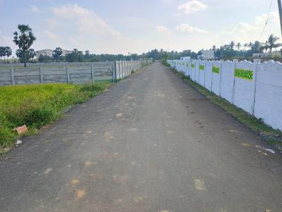 Image of 8000 Sq.ft Residential Plot / Land for sale in Mahabalipuram, Chennai for Rs. 12000000