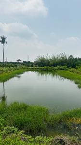 Image of 5000 Sq.ft Residential Plot / Land for sale in Kapasda, Durg for Rs. 2875000