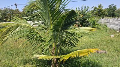 Image of 1131 Sq.ft Residential Plot / Land for sale in Oorjita Silent Wald, CRPF, Secunderabad for Rs. 19300000