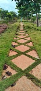 Image of 154 Sq.ft Residential Plot / Land for sale in Kamkole, Sangareddy for Rs. 2310000