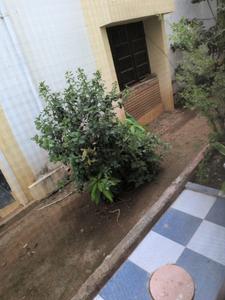 Drying Area Image of 4000 Sq.ft 4 BHK Villa for rent in Sainikpuri Secunderabad for Rs. 95000