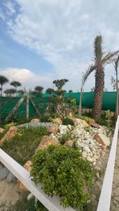 Image of 1008 Sq.ft Residential Plot / Land for sale in Sikanderpur, Greater Noida for Rs. 8000000