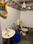 Bathroom Image of Southend Living in JP Nagar, Bengaluru