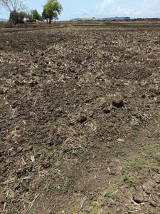 Image of 1089 Sq.ft Residential Plot / Land for sale in Invest Mahamumbai Plots In Chirle, Belondakhar, Navi Mumbai for Rs. 600000