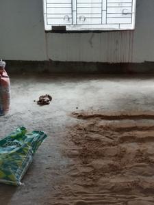Hall Image of 1014 Sq.ft 2 BHK Apartment / Flat for sale in Barasat Kolkata for Rs. 3500000