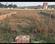 Sahzadepur Main Image 1