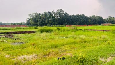 Image of 1200 Sq.ft Residential Plot / Land for sale in Basdeopur, Darbhanga for Rs. 1680000