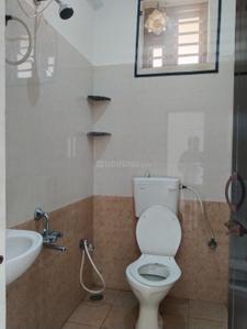 Bathroom Image of 800 Sq.ft 2 BHK Apartment / Flat for rent in Whitefield Bengaluru for Rs. 25000