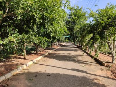 Image of 1200 Sq.ft Residential Plot / Land for sale in Avadharanahalli, Tumkur for Rs. 6600000