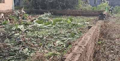 Image of 1632 Sq.ft Residential Plot / Land for sale in Bagdoba, Kolkata for Rs. 3500000