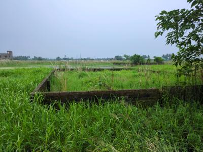 Wander Valley Plot View 2