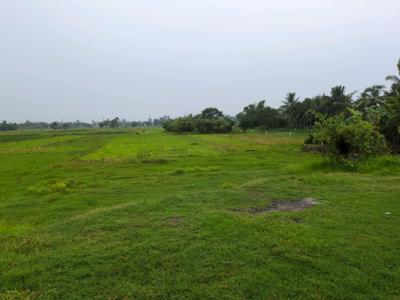 Golden city 2 plot Plot View 2