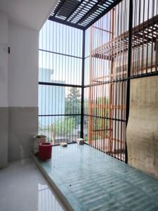 Balcony Image of 1290 Sq.ft 2 BHK Builder Floor for rent in Omicron III Greater Noida for Rs. 22000