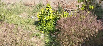 Image of 2800 Sq.ft 2 BHK Independent House for sale in Sathyamangalam, Erode for Rs. 5000000