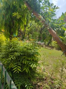 Image of 1200 Sq.ft 2 BHK Apartment / Flat for rent in DDA Flats Munirka, Munirka, New Delhi for Rs. 50000