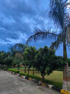 Dharmawala Plot View 1