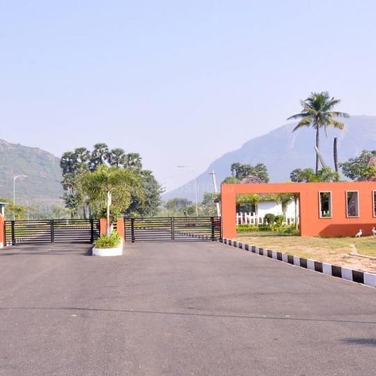 Navins Patra Aaranya Main Image 1