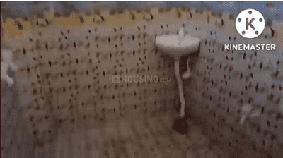 Image of 2400 Sq.ft 6 BHK Independent House for rent in Madiyava, Lucknow for Rs. 40000