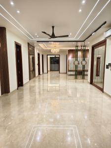 Hall Image of 1250 Sq.ft 3 BHK Builder Floor for sale in Raja Garden New Delhi for Rs. 23600000