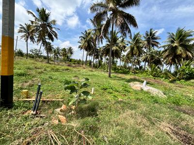 Image of 1200 Sq.ft Residential Plot / Land for sale in Kesare, Mysore for Rs. 9800000