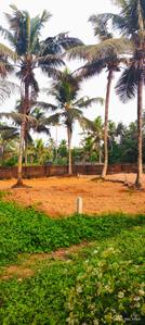 Image of 193 Sq.ft Residential Plot / Land for sale in Aluva, Kochi for Rs. 365000