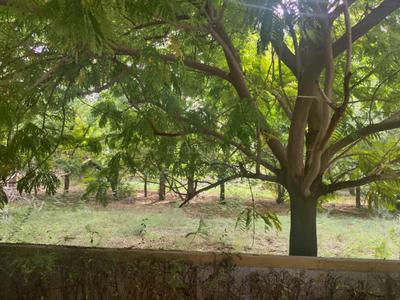 Image of 600 Sq.ft Residential Plot / Land for sale in Bakeri Serenity Pastures, Lakshmanpura, Ahmedabad for Rs. 4200000