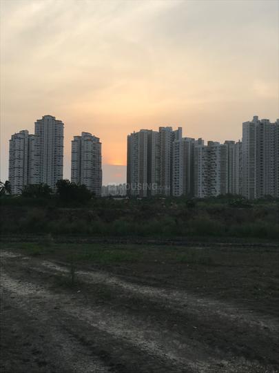 New Town Main Image 1