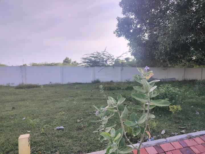 DLF Parc Estate Main Image 1