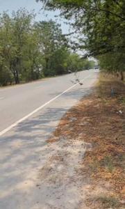 Image of 4500 Sq.ft Residential Plot / Land for sale in Rajpura, Patiala for Rs. 17500000
