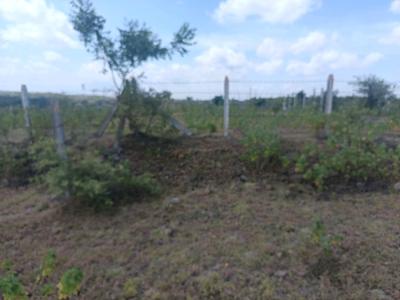 Residential Plot