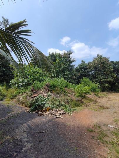 Sancoale Main Image 1