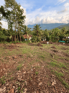 Image of 750 Sq.ft 3 BHK Builder Floor for sale in Peravoor, Kannur for Rs. 295000