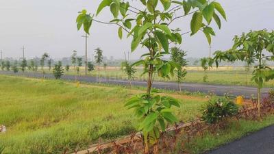 Image of 200 Sq.ft Residential Plot / Land for sale in Bheemunipatnam, Visakhapatnam for Rs. 5300001