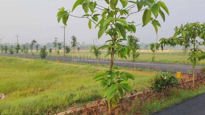 Charan Sea pearl Plot View 2