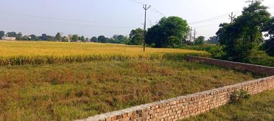 Image of 2000 Sq.ft Residential Plot / Land for sale in Rohania, Varanasi for Rs. 4500000