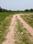 Natures Paradise Internal Roads 2
