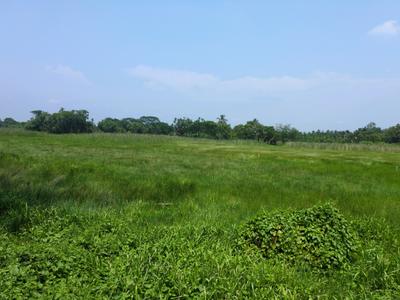 Residential Plot
