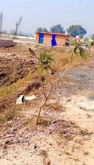 Ncr garden villa Main Image 1