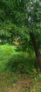Image of 10 Sq.ft Residential Plot / Land for sale in Mangala Nagar, Mangalore for Rs. 5900000