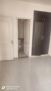 Bedroom Image of 945 Sq.ft 2 BHK Apartment / Flat for rent in Stellar Jeevan, Noida Extension Greater Noida for Rs. 16000
