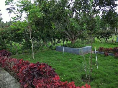 Image of 6006 Sq.ft Residential Plot / Land for sale in Hunsur, Mysore for Rs. 3628000